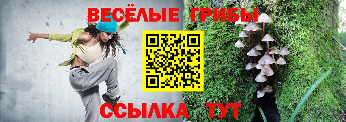 Галлюциногенные грибы Cubensis Ижевск