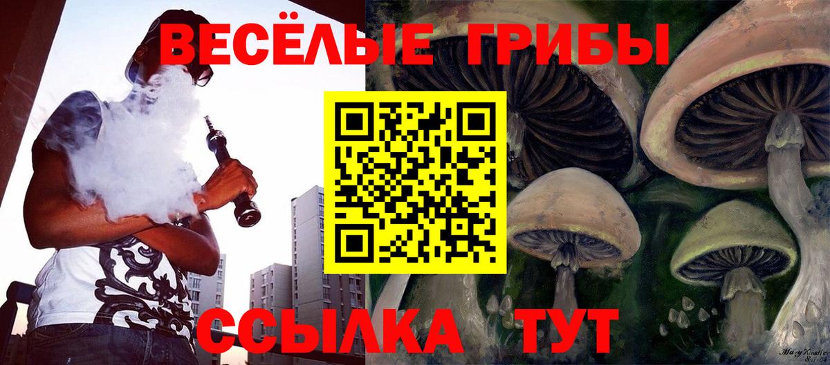 Ижевск  Псилоцибиновые грибы Psilocybe  Вход с VPN 