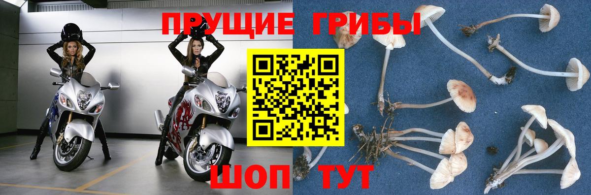 Галлюциногенные грибы мухоморы  Ижевск  Псилоцибиновые грибы ЛСД 